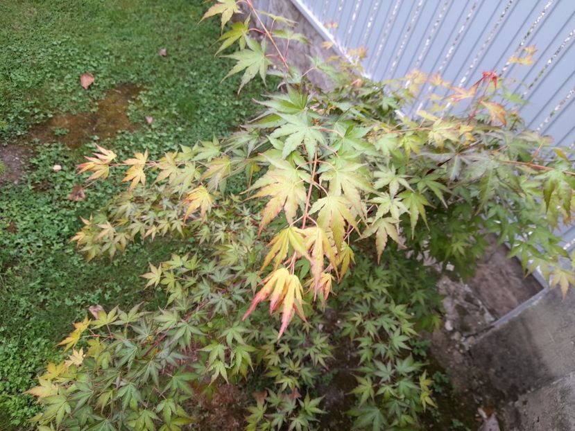  - 1 Bucurii nemuritoare 2023