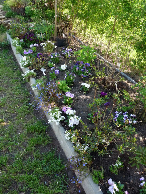  - 2023 - 01 - Primavara