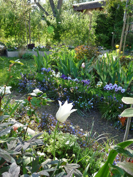  - 2023 - 01 - Primavara