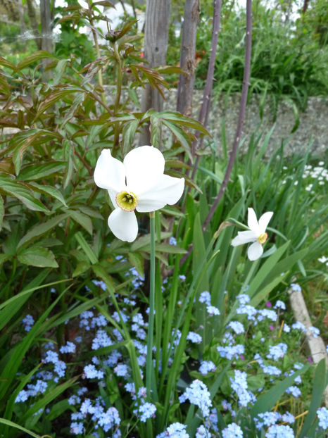  - 2023 - 01 - Primavara