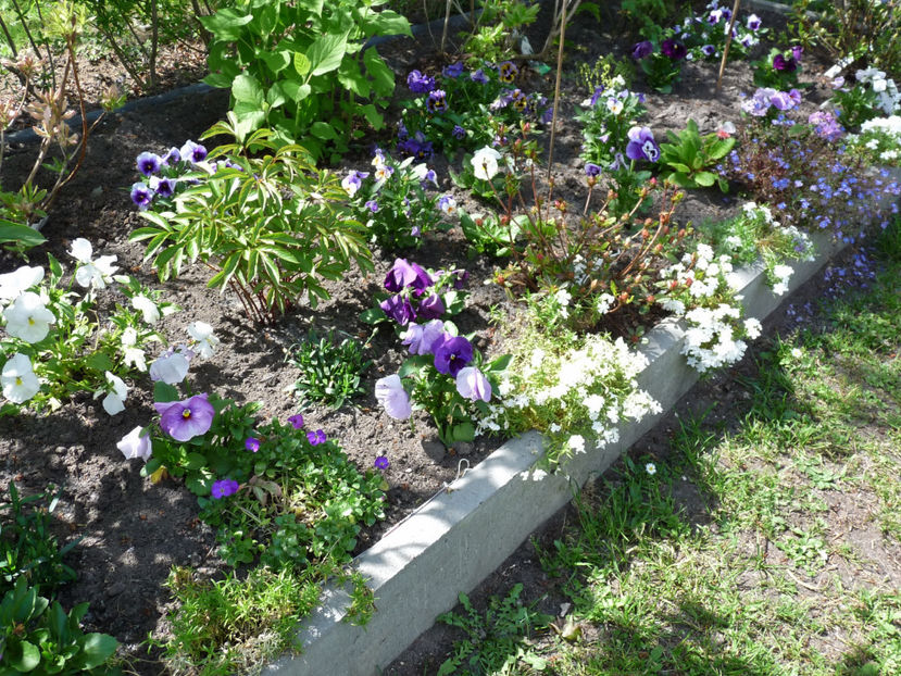  - 2023 - 01 - Primavara