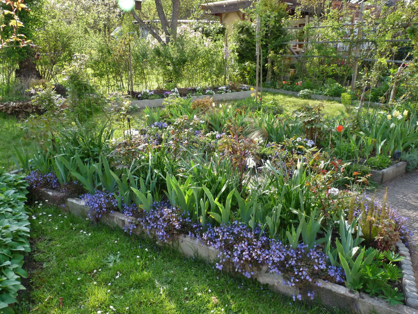  - 2023 - 01 - Primavara