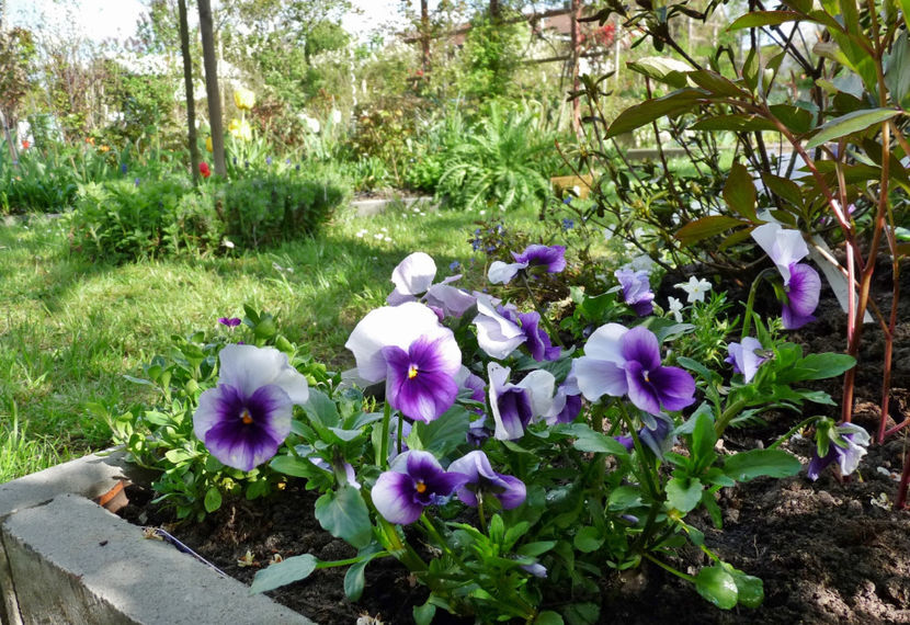  - 2023 - 01 - Primavara