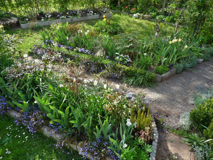  - 2023 - 01 - Primavara