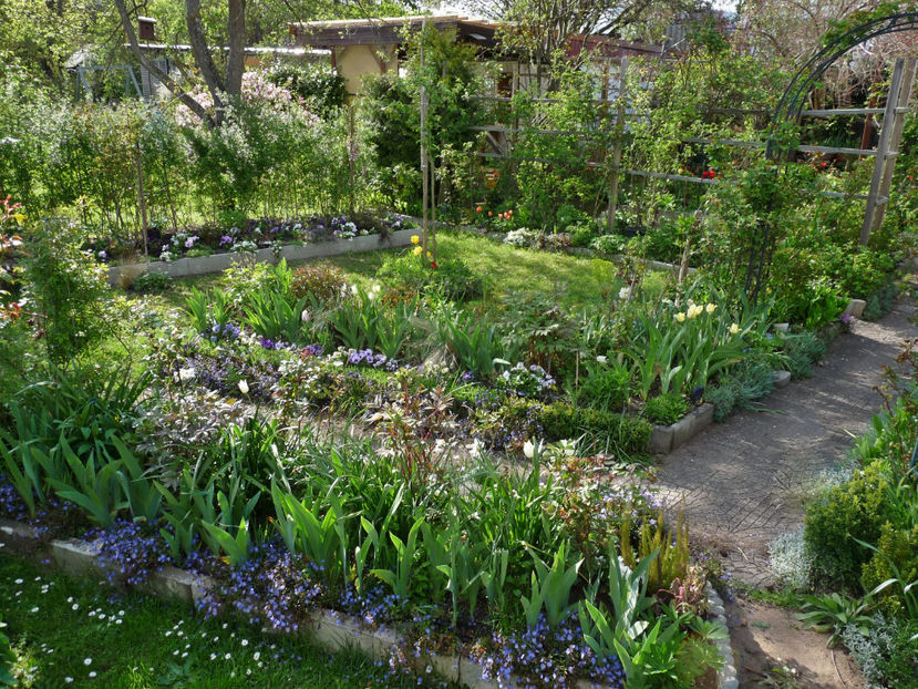  - 2023 - 01 - Primavara