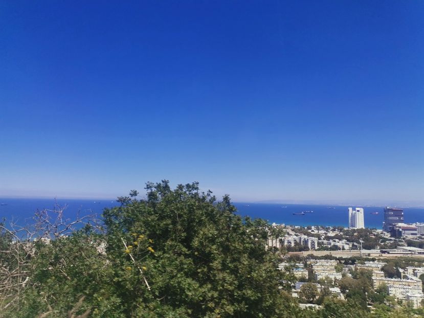  - Haifa