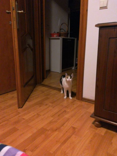 IMG-20200109-WA0011 - LADY 2017