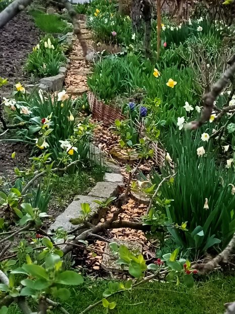 Img.2023.03.25 - Zu-Cele mai frumoase grădini