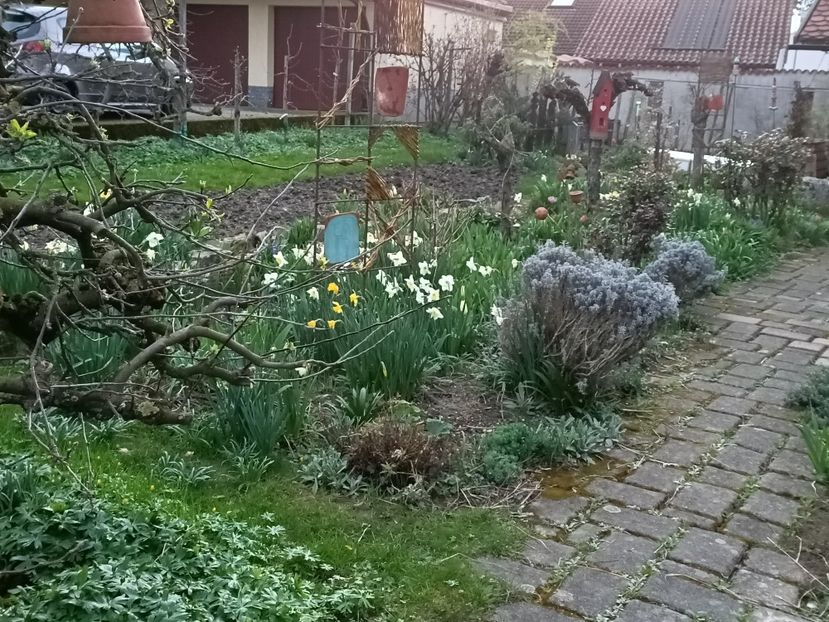 Img.2023.03.25 - Zu-Cele mai frumoase grădini