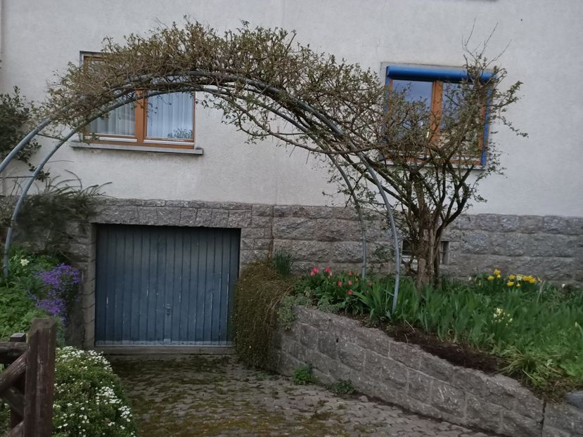 Img.2023.03.25 - Zu-Cele mai frumoase grădini