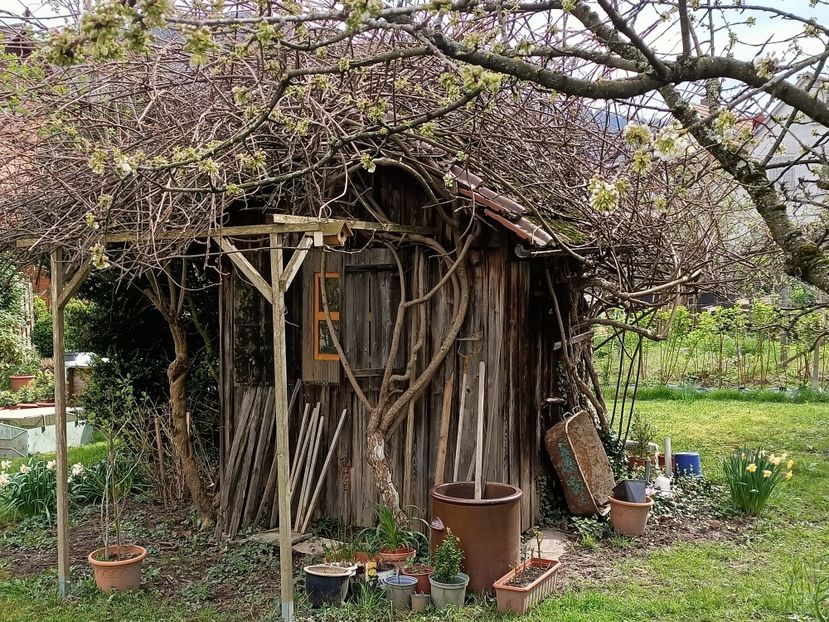 Img.2023.04.03 - Zu-Cele mai frumoase grădini