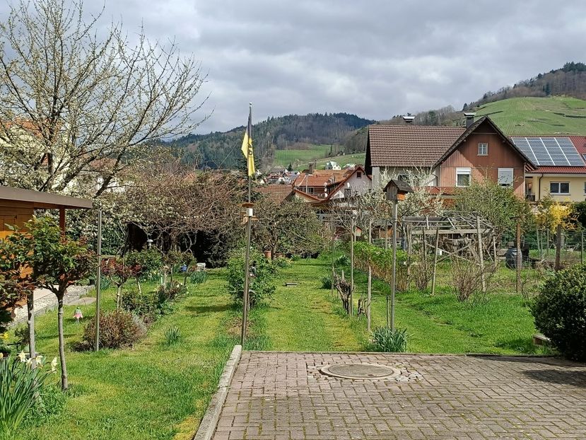Img.2023.04.03 - Zu-Cele mai frumoase grădini