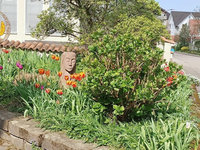 Img.2023.04.20 - Zu-Cele mai frumoase grădini