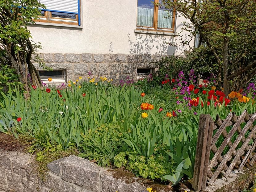 Img.2023.04.20 - Zu-Cele mai frumoase grădini