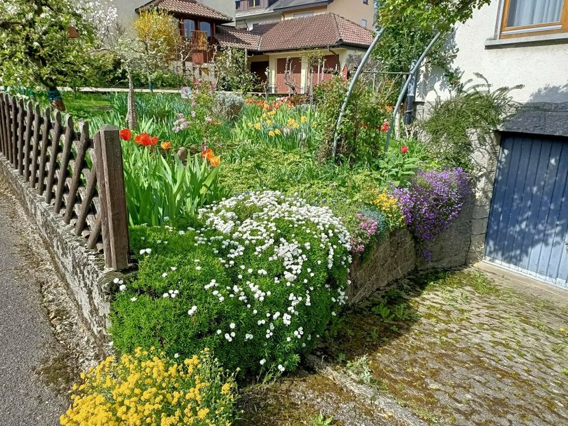 Img.2023.04.20 - Zu-Cele mai frumoase grădini