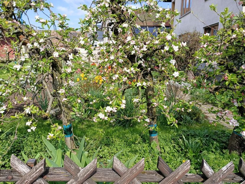 Img.2023.04.20 - Zu-Cele mai frumoase grădini