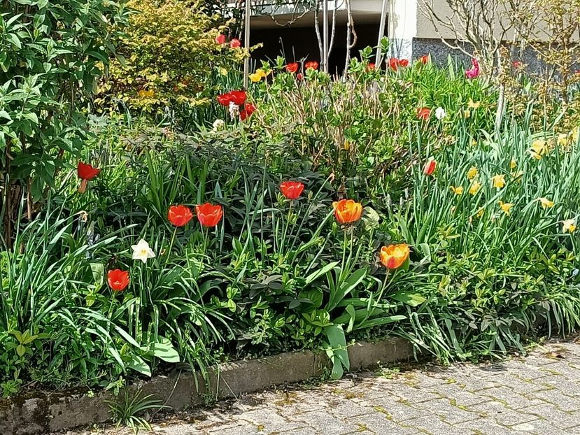 Img.2023.04.20 - Zu-Cele mai frumoase grădini