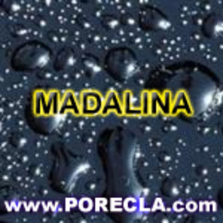 640-MADALINA avatar abstract