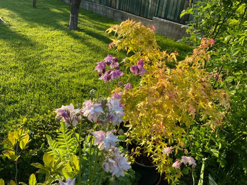 ED9D3F95-36D0-4D76-AA0A-7150D808F7D6 - 01 Primăvara 2023