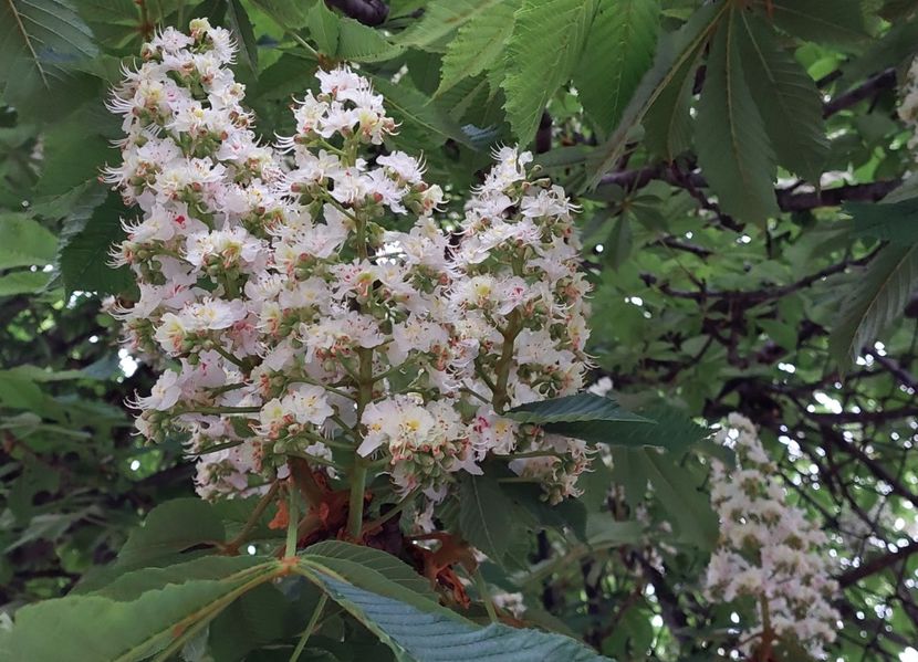  - 2023 - Grădinița de la bloc