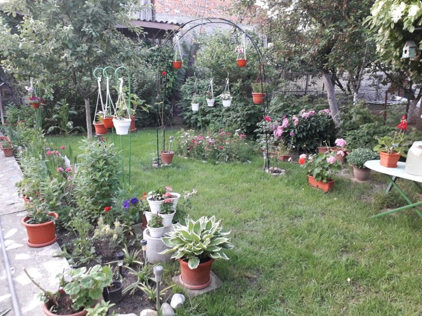  - 2022- Flori si animalute
