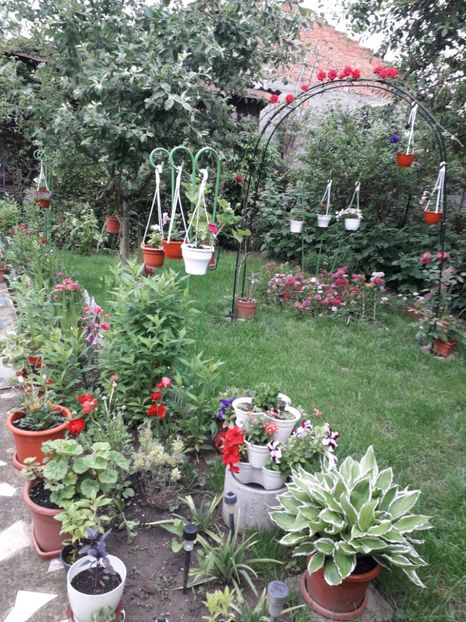  - 2022- Flori si animalute