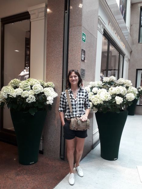  - 2022- Flori si animalute