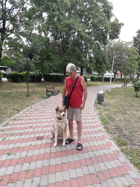  - 2022- Flori si animalute
