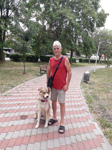  - 2022- Flori si animalute