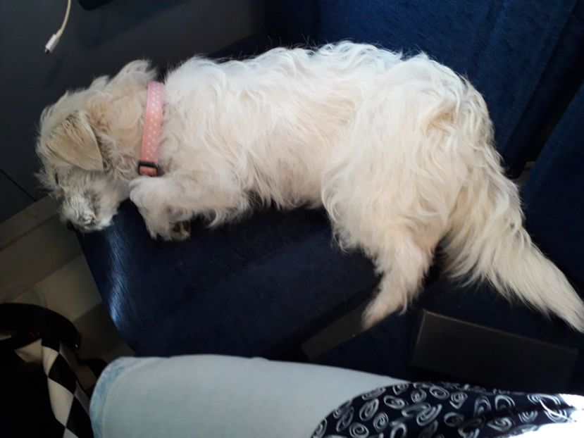  - Bella