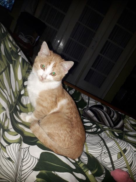  - Bella