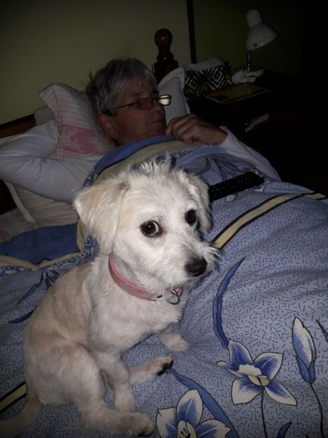  - Bella