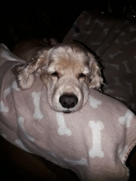  - Bella