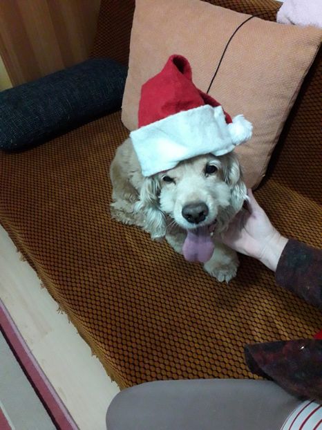  - Bella