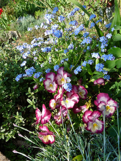  - 2023 - 01 - Primavara