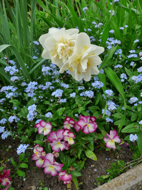  - 2023 - 01 - Primavara