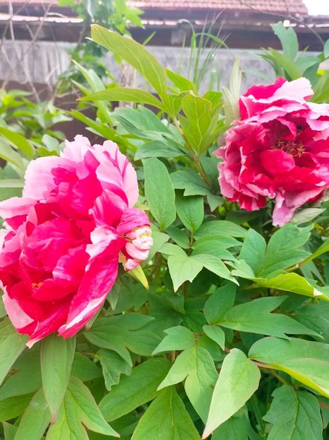 IMG20230510110436 - Mai 2023