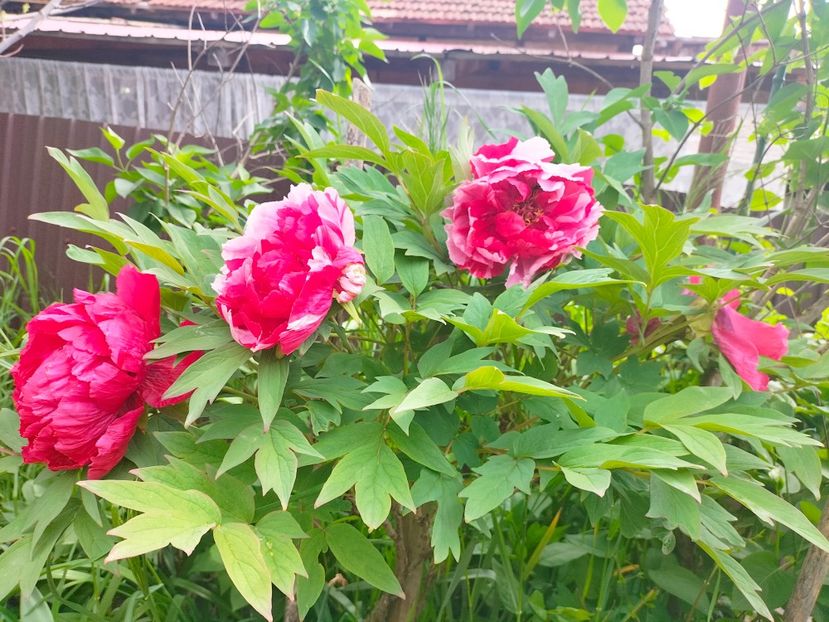 IMG20230510110433 - Mai 2023