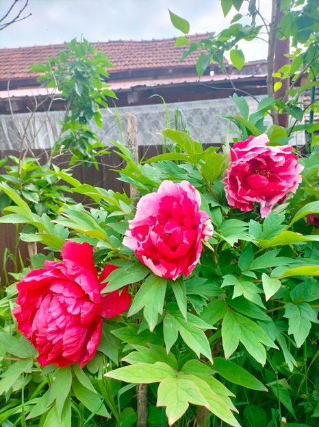 IMG20230510110421 - Mai 2023