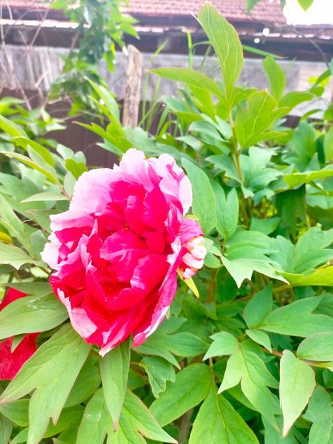 IMG20230510110407 - Mai 2023