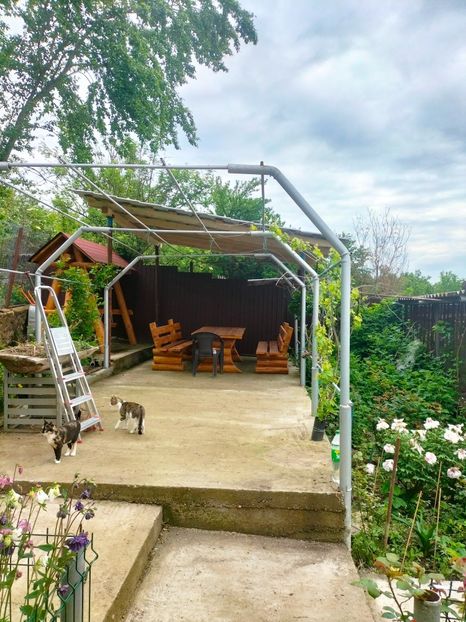 IMG20230510090427 - Mai 2023