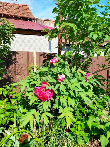 IMG20230507170650 - Mai 2023