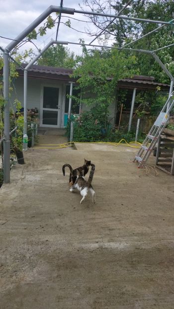 IMG-20230510-WA0004 - Album 2023 vol 1