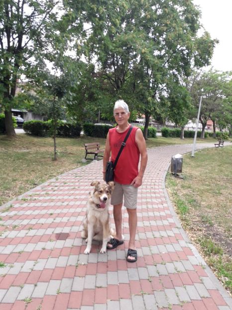  - 2022 flori si Italia