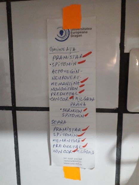  - 2022 flori si Italia