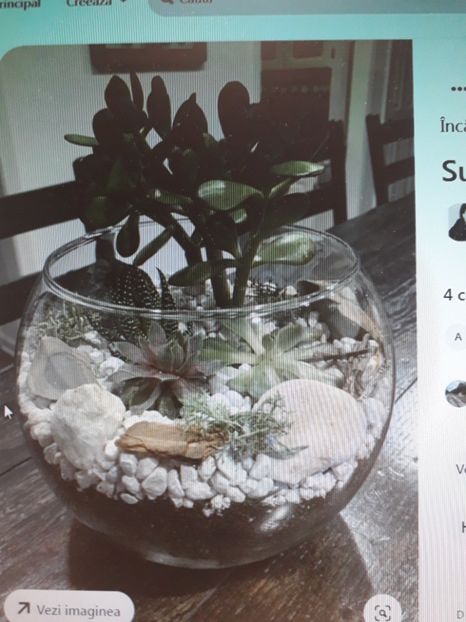  - 2022 flori si Italia