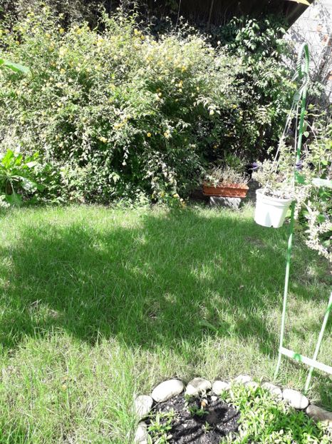  - 2022 flori si Italia