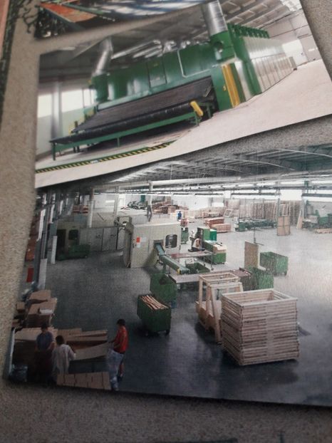  - 2022 flori si Italia