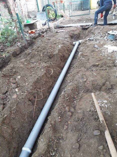  - 2022 flori si Italia