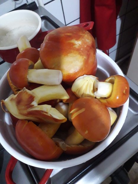  - 2022 flori si Italia